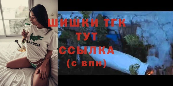 мдпв Пересвет